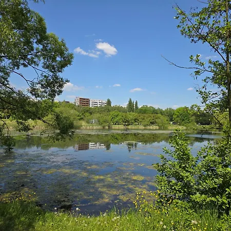 Park Trzy Stawy קטוביץ