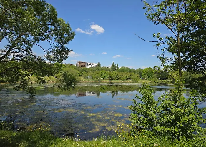 Park Trzy Stawy Катовице